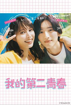 泊头网站排名优化软件